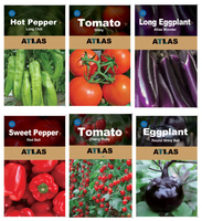 Kit de survie pour jardin potager Atlas, 29 variétés modernes, origine Chine, pour la culture des légumes