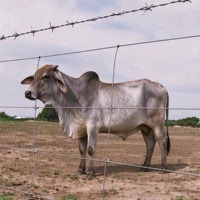 Grillage galvanisé à nœuds fixes pour clôture de ferme (cerfs, chèvres, vaches, moutons) à mailles carrées, service de découpe sur mesure