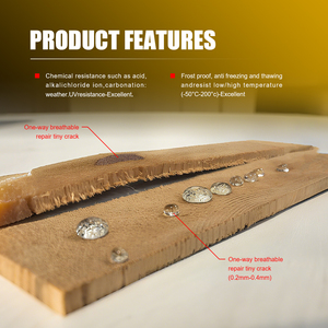 Langlebiger moderner Holzschutz Nano-Scale Water Stop Abdichtung mittel Anti-Mehltau 5 Jahre Garantie für Holz szenarien - Product Image 5