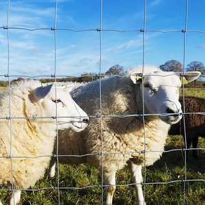 Recinzione per Allevamenti di Cavalli, Bovini e Cervi con Rete Quadrata Ondulata in Filo Metallico Zincato per Recintare Bestiame e Pollame - Product Image 4