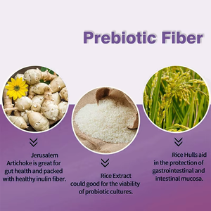 Las mejores cápsulas de probióticos al por mayor con 12 cepas de probióticos Suplementos de alta potencia Compatible con cápsulas de salud inmunológica - Product Image 4
