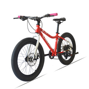 Vélo de montagne pour enfants Hulda Knight 20 pouces en alliage d'aluminium Shimano 8 vitesses avec freins à disque Selle réglable - Product Image 4
