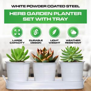 Trang Trại Thảo Mộc Vườn Kim Loại <span class=keywords><strong>Planter</strong></span> Hộp Trong Nhà/Ngoài Trời Cửa sổ <span class=keywords><strong>Planter</strong></span> Với Tay Khắc Kết Thúc - Product Image 4