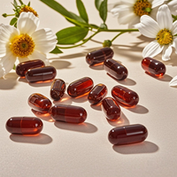 Complément alimentaire Coenzyme Q10, poudre d'ubiquinol, capsules et gélules de Coenzyme Q10, suppléments nutritionnels pré-entraînement à la créatine