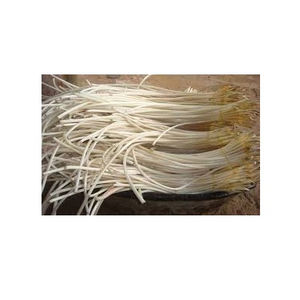 Fournisseur de racine de lotus/racine de lotus de qualité supérieure - Product Image 1