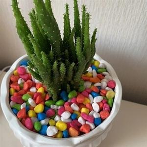 Ciottoli Colorati, Utilizzati per Acquari e Decorazione di Vasi, Pavimentazione per Piante, Rosso, Giallo, Blu, Verde - Product Image 4