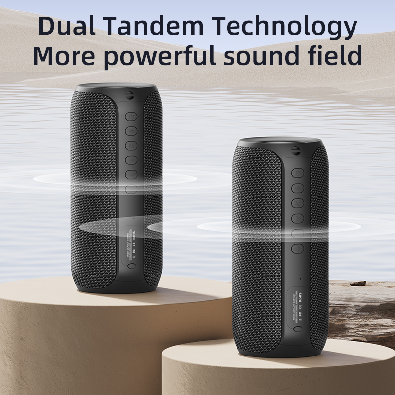 Zealot S69M for 5.2 Speaker System with Dual Wireless Microphones RGB LED Lighting for USB Rechargeable Battery Outdoor Speaker · image 5
