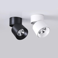 Downlight LED COB 12W-24W 7000K Haute luminosité Rond Encastré Plafond