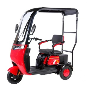 ราคาโรงงาน รถสามล้อไฟฟ้า 500 วัตต์ สำหรับผู้โดยสาร 3 ล้อ พร้อมหลังคา ได้รับการรับรองมาตรฐาน EEC - Product Image 6