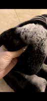 MWFur jaket bulu asli wanita musim dingin dengan kerah besar lengan penuh desain Chinchilla Rex mantel bulu kelinci untuk wanita