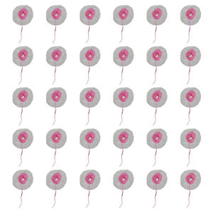 30 पीसी शिविर गैस लालटेन लैंप मैटल पोर्टेबल सरल स्थापना हाइकिंग गैस लाइट मैटल सेट Z00124 - Product Image 6