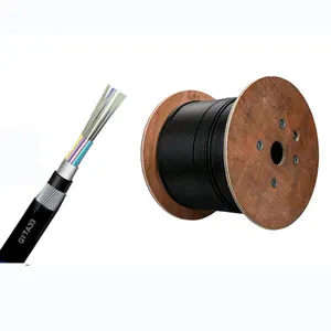 gyta gyta53 outdoor duct G652D single mode 12 24 48 core stranded loose tube armored fiber optic cable