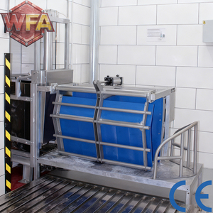 อุปกรณ์โรงฆ่าสัตว์<span class=keywords><strong>หมู</strong></span>ทั้งตัว สายการผลิตโรงฆ่าสัตว์ เครื่องจักรโรงเชือดหมู เครื่องจักรแปรรูปเนื้อ<span class=keywords><strong>หมู</strong></span> USDA สายพานลำเลียงสำหรับโรงงานแปรรูปเนื้อ<span class=keywords><strong>หมู</strong></span> - Product Image 5