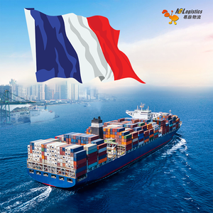 DDP spedizione aerea spedizioniere cina a <span class=keywords><strong>USA</strong></span> Canada europa consegna porta - Product Image 3