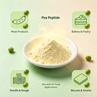 Poudre de peptides de protéines de pois non-OGM, à base de plantes, pour la nutrition sportive et ingrédient végétalien hypoallergénique