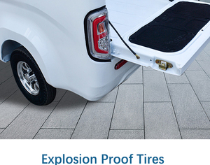 승객 및화물 <span class=keywords><strong>4</strong></span> 륜 픽업 트럭 전기 밴 및 트럭 램 트럭 4x4 픽업 이중 사용 - Product Image 5