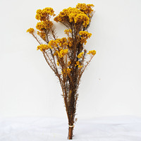 Bouquet de fleurs séchées naturelles, herbe de la pampa, feuilles d'eucalyptus pour la décoration de la maison, des fêtes, des mariages, de Noël, haute qualité