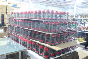 Venta al por mayor 2025 <span class=keywords><strong>rosas</strong></span> eternas de San Valentín flor regalo logotipo personalizado en inmortal estabilizado para siempre Rosa preservada en cúpula de cristal - Product Image 6