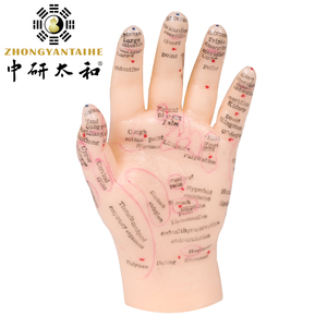 Modelo de Mão para Acupuntura Chinesa 13cm Modelo de Ponto de Acupuntura do Corpo Humano - Product Image 4