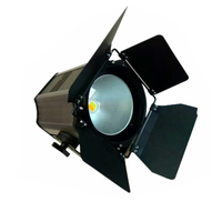 COB LED par lumière Offres Spéciales 2in1 blanc chaud/froid 200W Parcan DMX512 led scène par lumière