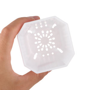 <span class=keywords><strong>Maceta</strong></span> cuadrada octogonal de plástico transparente/Negro/blanco, <span class=keywords><strong>maceta</strong></span> suculenta, Vientiane, herramienta de jardinería para plantas en <span class=keywords><strong>maceta</strong></span> - Product Image 5