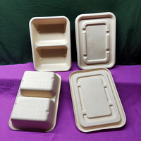 Emballage en pulpe de papier biodégradable, boîte à lunch alimentaire, fruits, légumes, agriculture, qualité alimentaire, sécurité et fonction de stockage aseptique