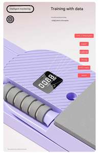 Nouvelle conception d'équipement de fitness multifonctionnel, roue d'exercice à domicile, planche de réforme Pilates, corps en plastique PP - Product Image 5