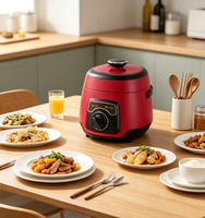 Cuisinière à riz électrique mini automatique 2,5 L 600 W avec fonction maintien au chaud, boîtier en plastique, cuve antiadhésive et fonction minuterie PC50-J