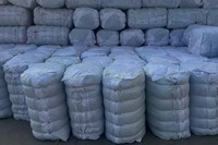 Kantong Jaring Plastik Putih & Hijau OEM untuk Kelapa, Warna Dapat Disesuaikan untuk Perlindungan Buah dari Debu, Hama, dan Burung