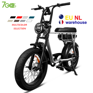 Vélo électrique 7Go EB4 EB2 avec pneus larges 20 pouces, 48V 750W, disponible depuis nos entrepôts européens/américains - Product Image 3