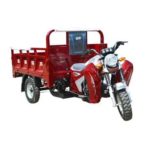 2024 vendita calda elettrica motorizzata Tuk Tuk moto triciclo Cargo 150cc-200cc tipo di carrozzeria aperta per passeggero dalla cina