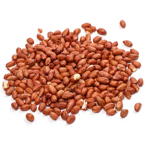 fresh authentic peanut <strong>kernels</strong> new harvest authentic peanuts export authentic groundnut <strong>kernels</strong> new season indian farm peanuts - Product Image 1