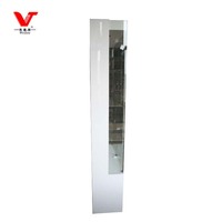 Vitrine en verre avec éclairage LED