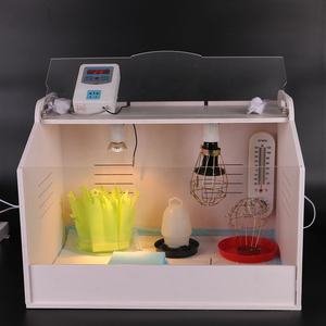 พลาสติก Cockatiel Brooder กล่องทำในประ<span class=keywords><strong>เท</strong></span>ศจีนโปรโมชั่นไก่ Brooder สำหรับขาย - Product Image 1