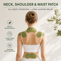 Pansement Chauffant Naturel au Notoginseng pour Soulager les Douleurs aux Épaules, Patch de Soin Articulaire pour la Raideur des Épaules, du Cou et Lombaire, Personnalisable