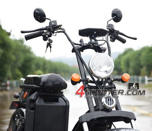 EEC COC 승인 시티코코 시티 버그 전기 스쿠터 4000W 75KM/H 시티코코 초퍼 인증서 포함 80KM 주행거리 - Product Image 3