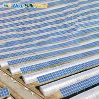 Serres agricoles photovoltaïques chinoises à simple travée en acier galvanisé à chaud avec ventilation et film solaire PE, type tunnel