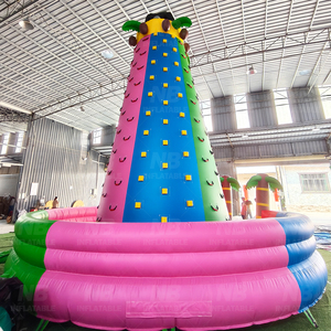Muro de Escalada Inflable Tropical de 8 Metros, la Aventura Definitiva para Niños y Adultos en el Patio Trasero, Muro de Escalada Inflable - Product Image 2