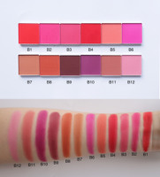 Palette de fard à joues DIY imperméable 4 couleurs pour carnations claires, pigment minéral, poudre de blush - Fournisseur cosmétique ODM