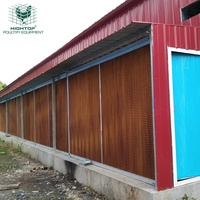 Estructura Metálica de Gran Escala para Gallinero, Estructura de Acero para Granja Avícola, Gallinero Comercial