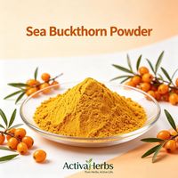 ActivaHerbs Natuurlijk Duindoornvruchtenpoeder Duindoornbessenpoeder Hippophae Rhamnoides voor Voedingssupplement