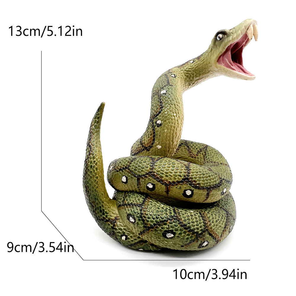 2625 boa constrictor-2651g