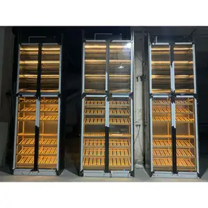 Customized Industrial Voltage/Civilian Electric Constant Temperature and Humidity Wine Cabinet for Business/Hotel/Household
