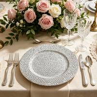 Assiettes de présentation de luxe dorées Wojia 13 pouces, texture martelée, revêtement poudré, en plastique, pour traiteur et table de banquet