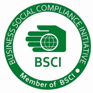 Servicios de Consultoría y Certificación de Auditoría de Fábrica Desiny Bsci, Tarifas Todo Incluido - Product Image 3