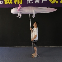 Accessoire de parade gonflable personnalisé en forme d'axolotl, gonflable publicitaire pour événements thématiques et spectacles