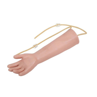 Kit de Entrenamiento de Venopunción Anatómica para Enfermeras, Modelo de Plástico PVC YULIN YLJ-410 Henan CE/ISO