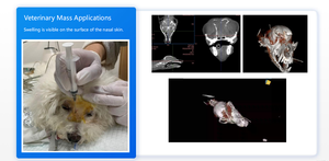 <span class=keywords><strong>Scanner</strong></span> CT vétérinaire avancé avec radiographie numérique certifié CE Garantie de 3 ans pour usage hospitalier - Product Image 2
