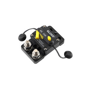 Disjoncteur thermique étanche DC de <span class=keywords><strong>voiture</strong></span> à ampli élevé personnalisé utilisé dans les camions et les bus - Product Image 1