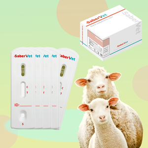 PPR Ab Peste Des Petits Wiederkäuer Antikörper-Schnelltest Tierdiagnose-Schnelltest-Kit - Product Image 2